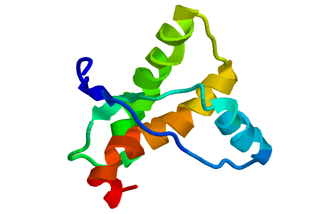 prion