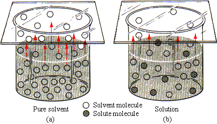 FIGURE 11.7