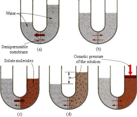 FIGURE 11.9