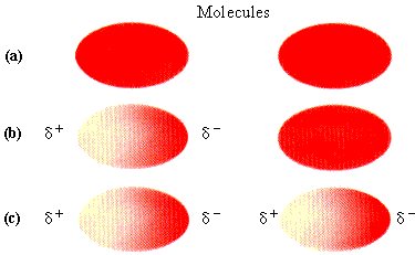 FIGURE 9.12